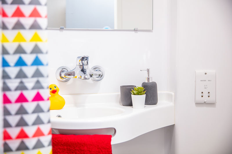 A sink with a colourful rubber duck, handwash dispenser and plant