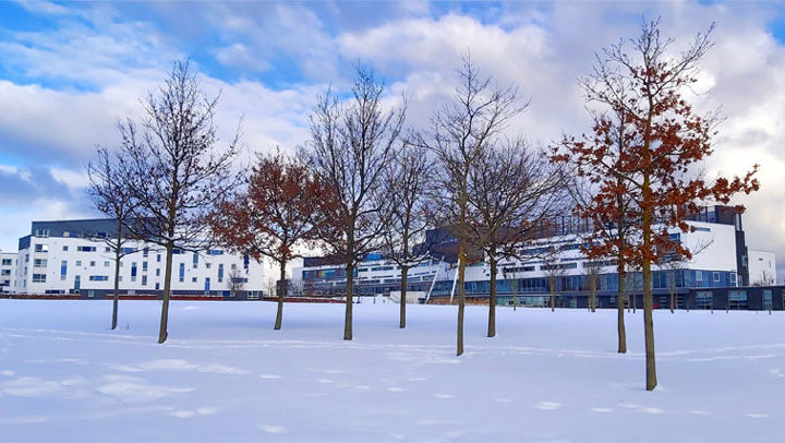 A view of the QMU campus surrounded by heavy snow.
