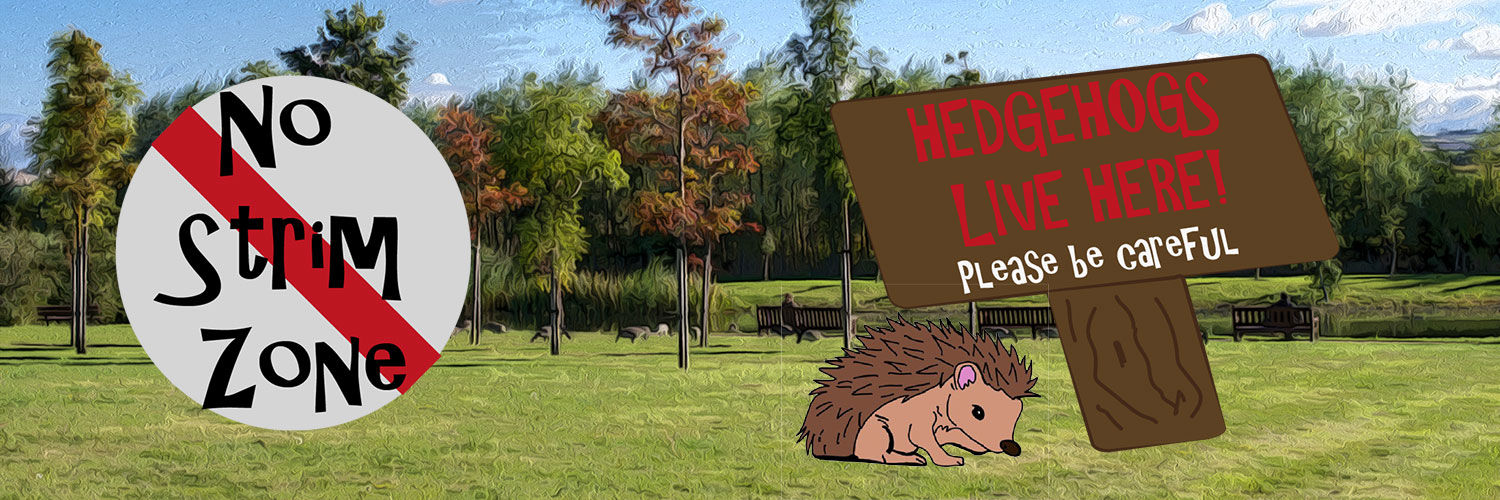 No strim zone hedgehog warning poster