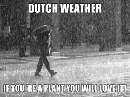 Image of Dutch meme