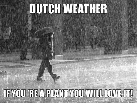 Image of Dutch meme