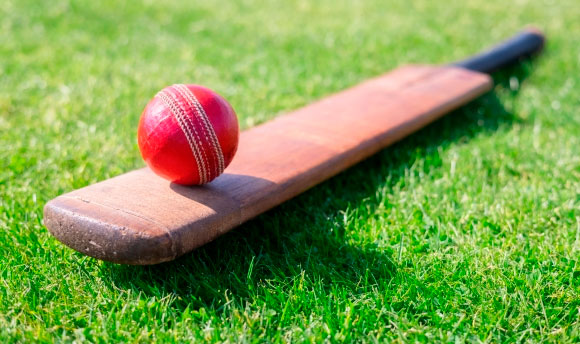 Cricket bat and ball