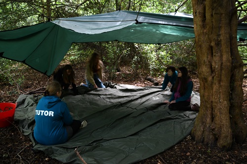 Image of group of individuals outdoors