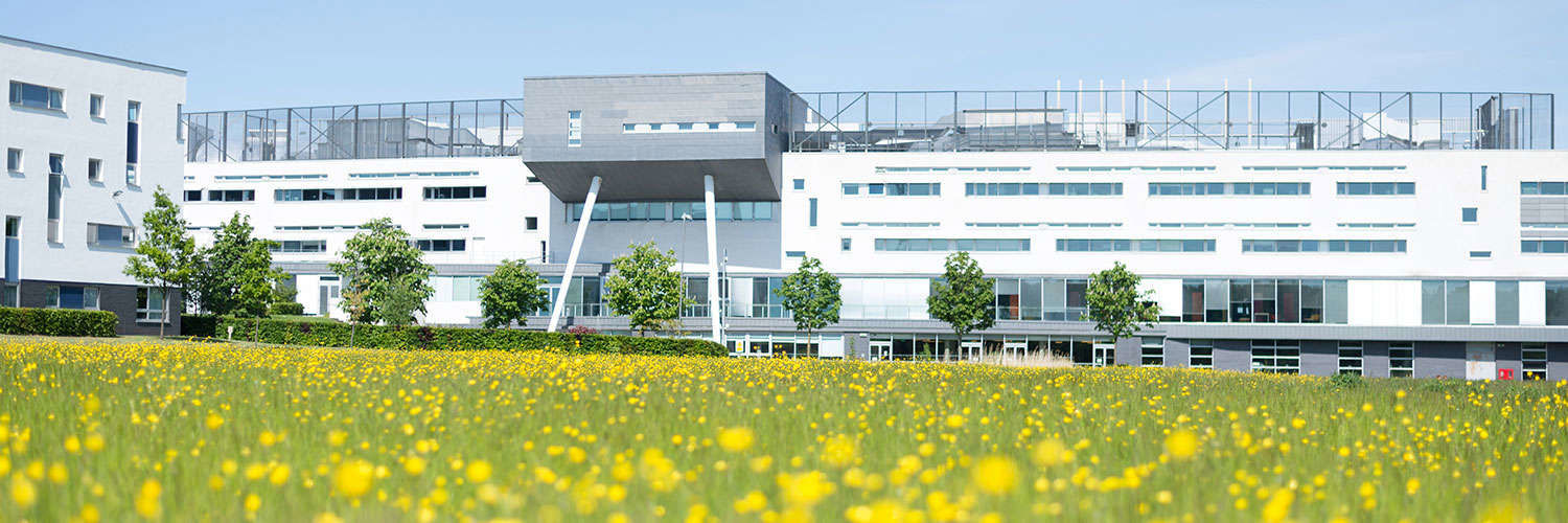 A low angle image of Queen Margaret University Campus with flowers in the foreground