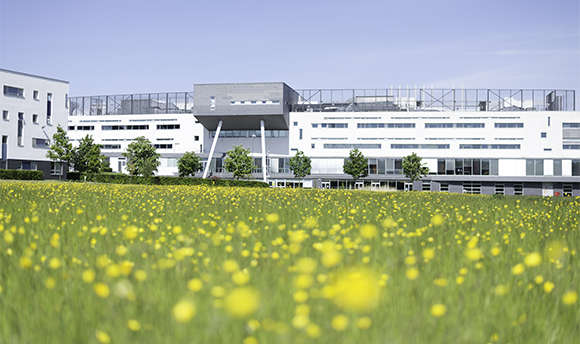 A low angle image of Queen Margaret University Campus with flowers in the foreground