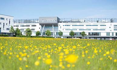 A low angle image of Queen Margaret University Campus with flowers in the foreground