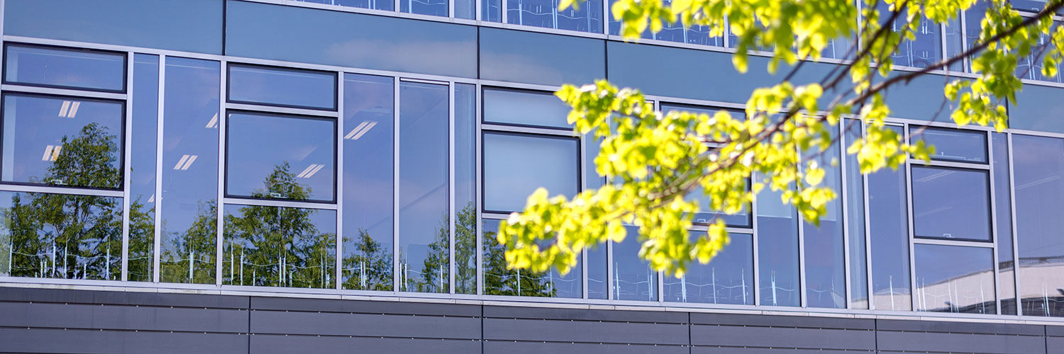 A wall of windows showing seating inside the university with foliage in the foreground