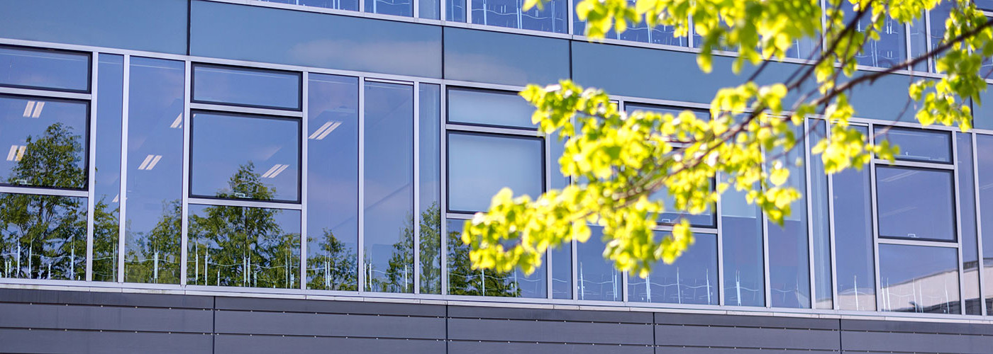 A wall of windows showing seating inside the university with foliage in the foreground