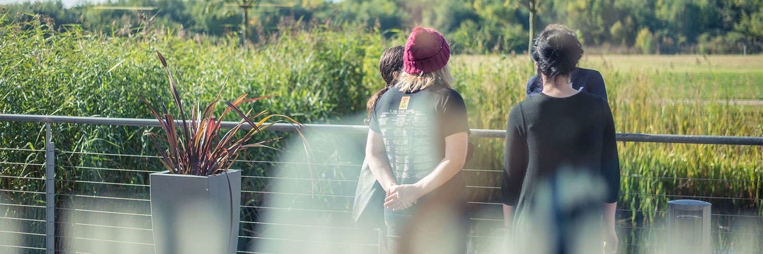 A small group of people talking, facing away from the camera, on a sunny day outside