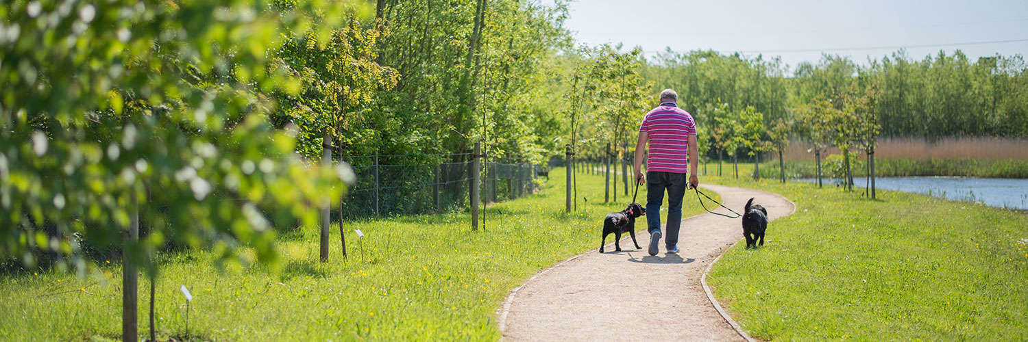 Dog walker strolling along QMU walk way in the sunshine