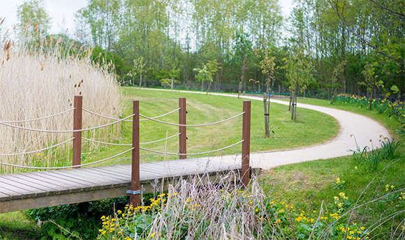 View of a footpath in Queen Margaret University Campus surrounded by trees