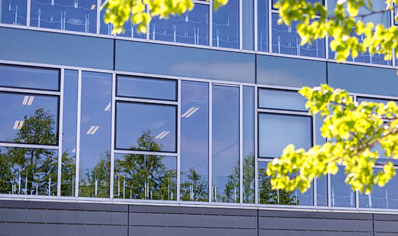 A wall of windows showing seating inside the university with foliage in the foreground