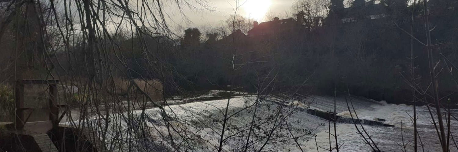 View of the River Esk on an overcast morning, Lothian