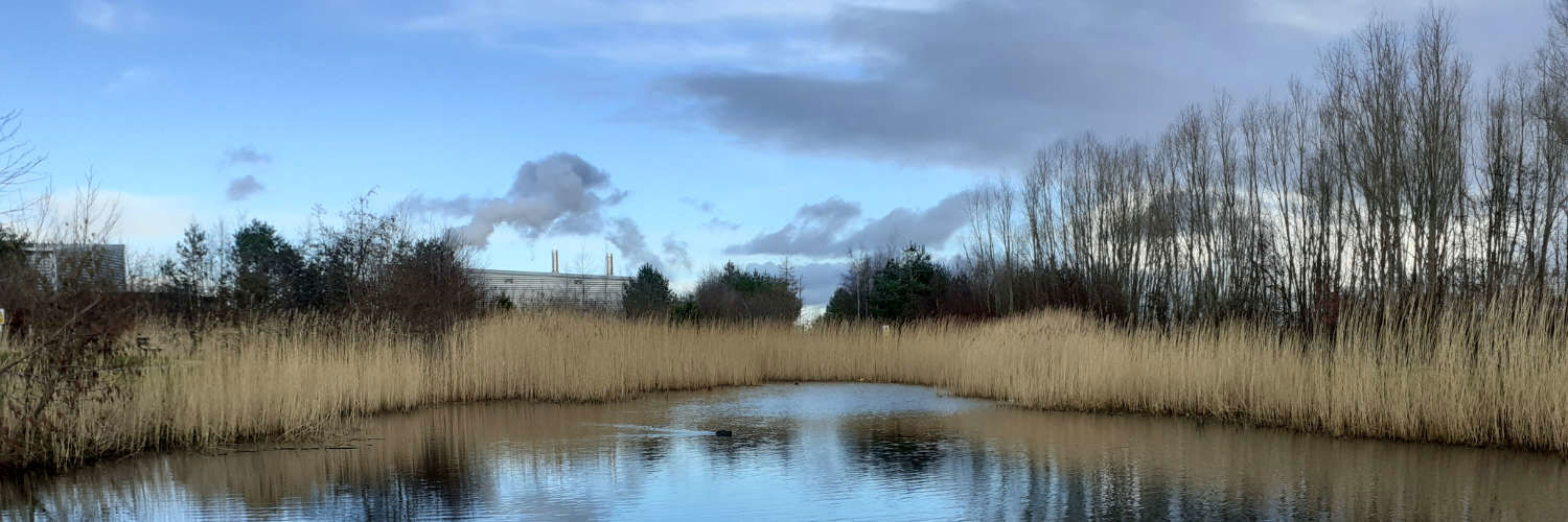 Suds Pond at Queen Margaret University, Edinburgh