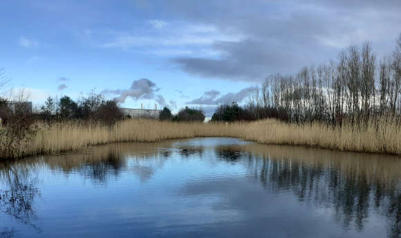 Suds Pond at Queen Margaret University, Edinburgh
