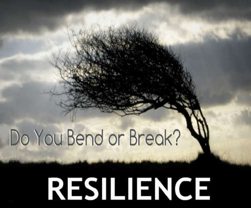 A picture of a tree swaying in the wind with the words 'do you bend or break?'