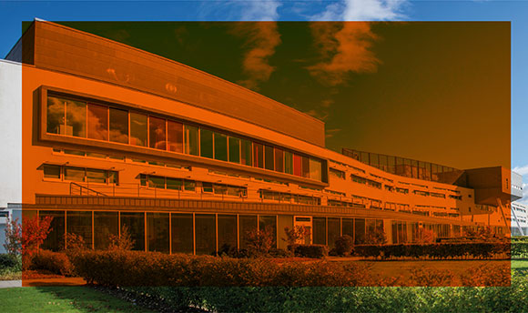 QMU Campus Highlighted in Orange