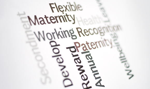 A word cloud with the words "maternity, Flexible, Develop, Paternity & Wellbeing" etc