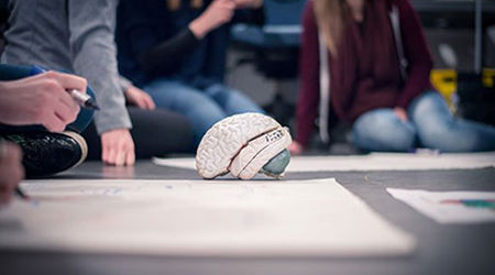 Students sitting around a model brain making posters in groups 