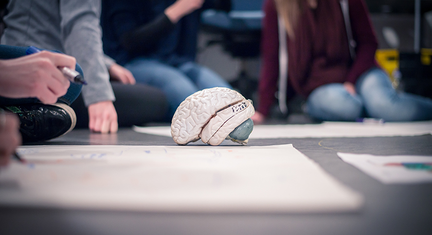 QMU students sitting on the floor looking at a model brain and doing a group project