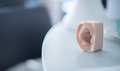 A plastic model educational ear