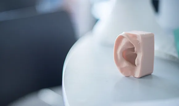 A plastic model educational ear