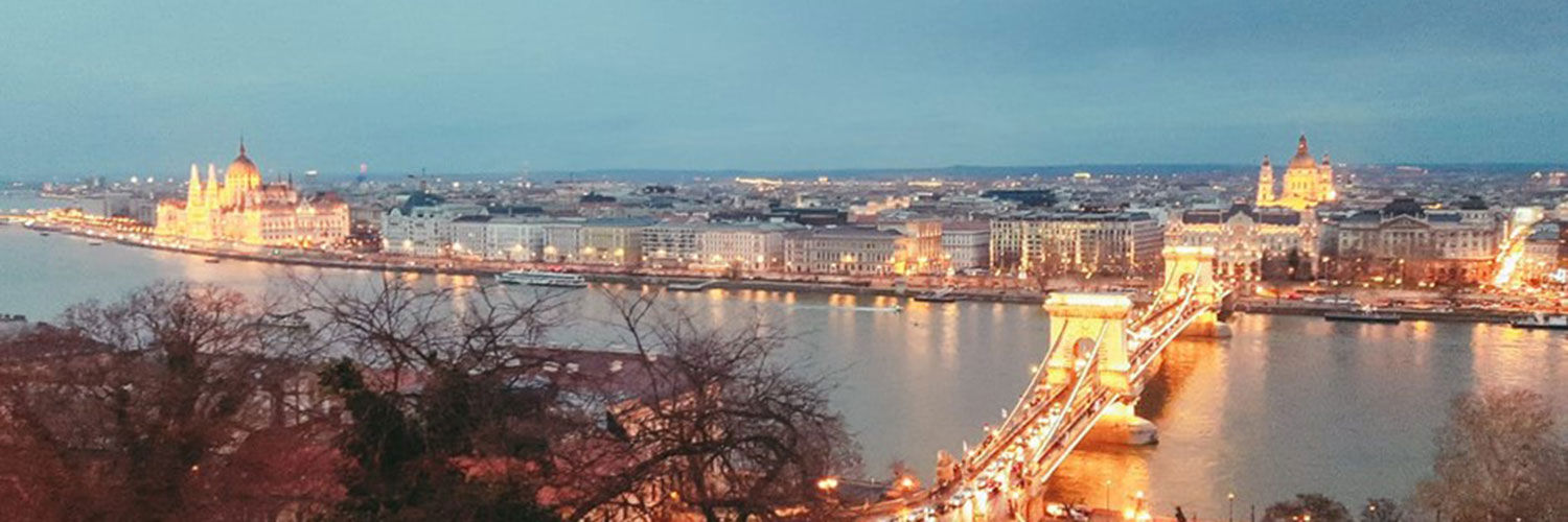 A panoramic view of Budapest's cityscape