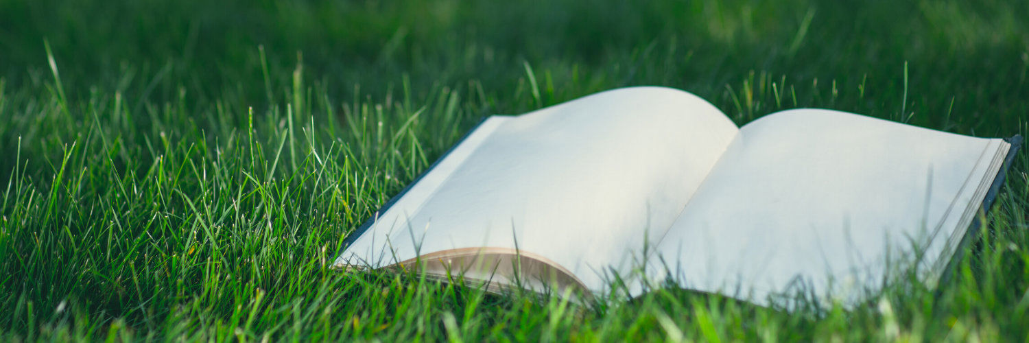 An open book in a grassy field