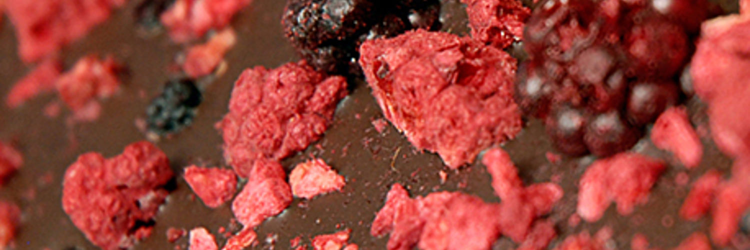 Freeze dried raspberry chocolate