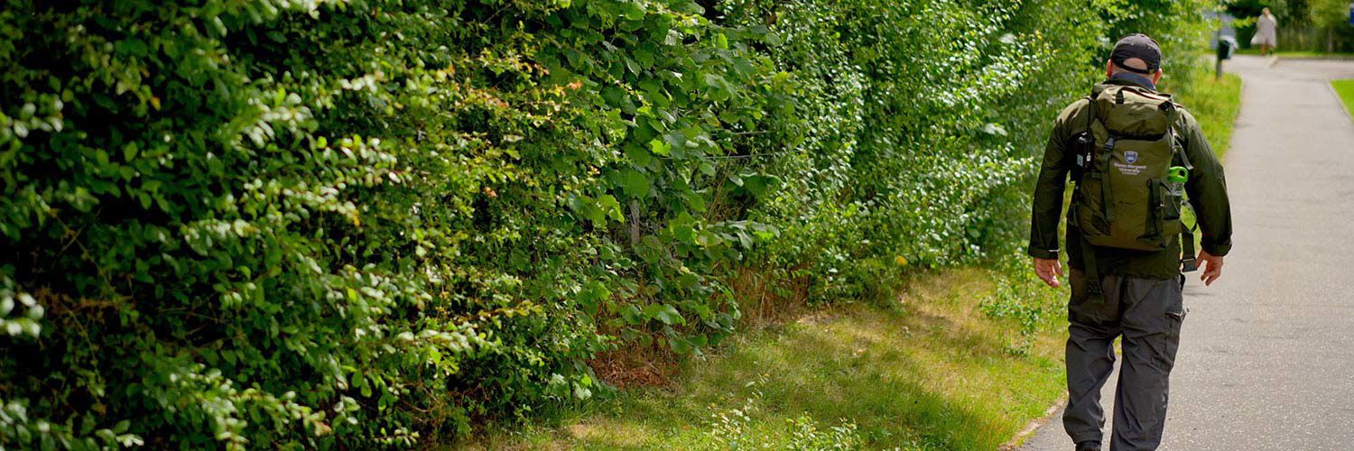 Person walking beside the Outdoor Hub Hedgerow at QMU