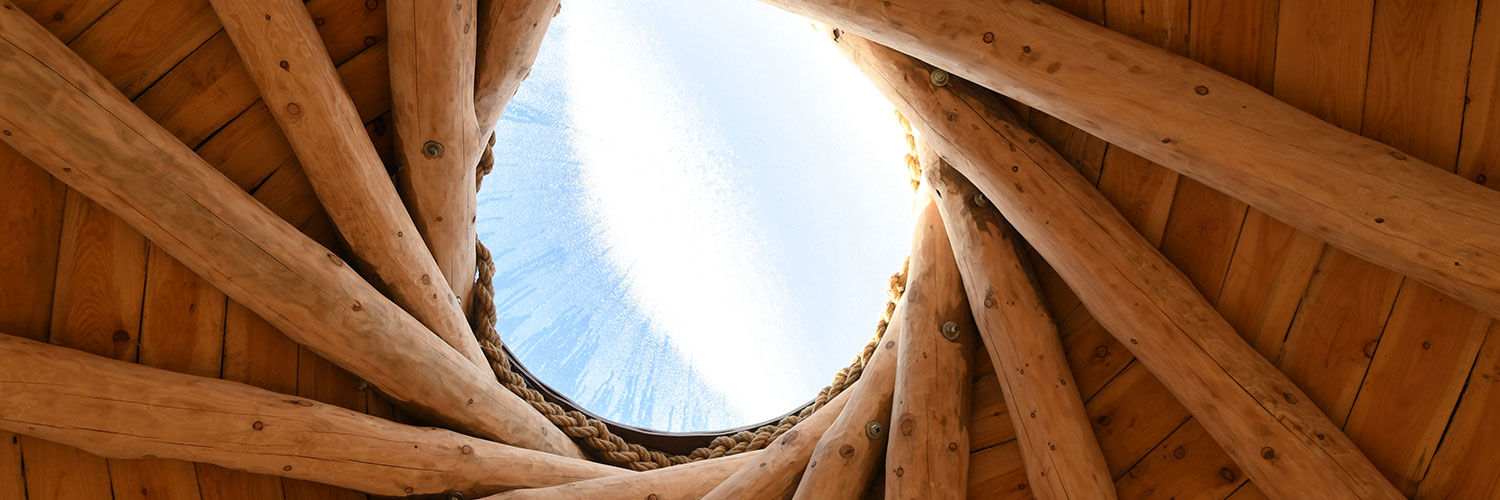 Wooden roof of the Howff at QMU, with a glimpse of blue sky above
