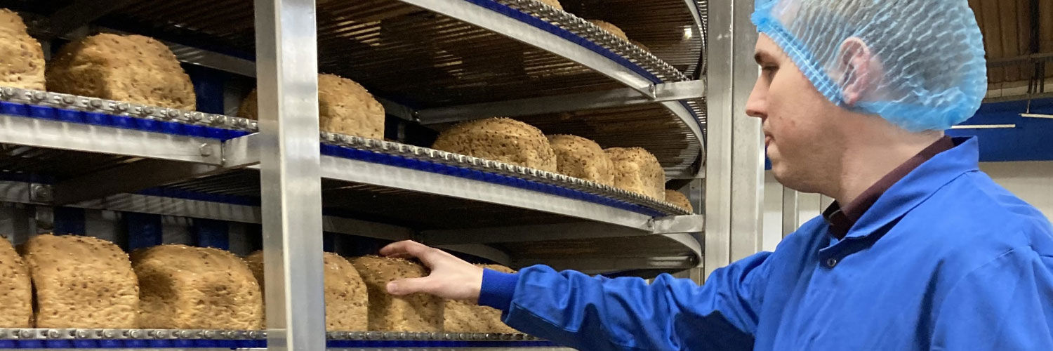 A man wearing food-safe clothing inspecting loaves of bread
