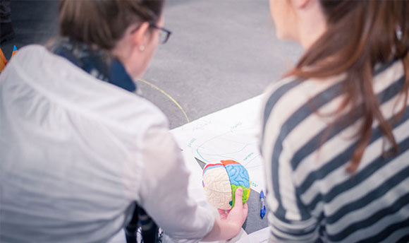Two students sitting together holding a model brain