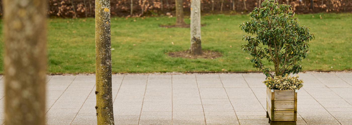 The walkway from the East entrance of QMU campus; a paved walkway with a small planter feature