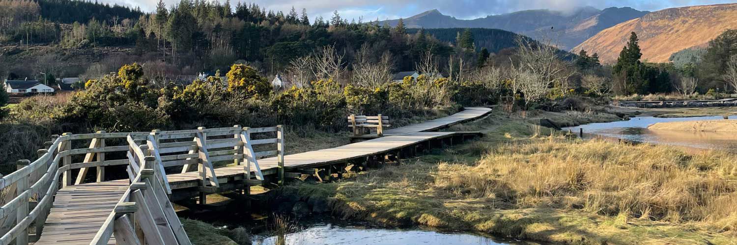 A photo of a wooden bridge that extends alongside and over a small pond