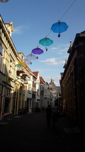 Image of Umbrella's hanging above a street