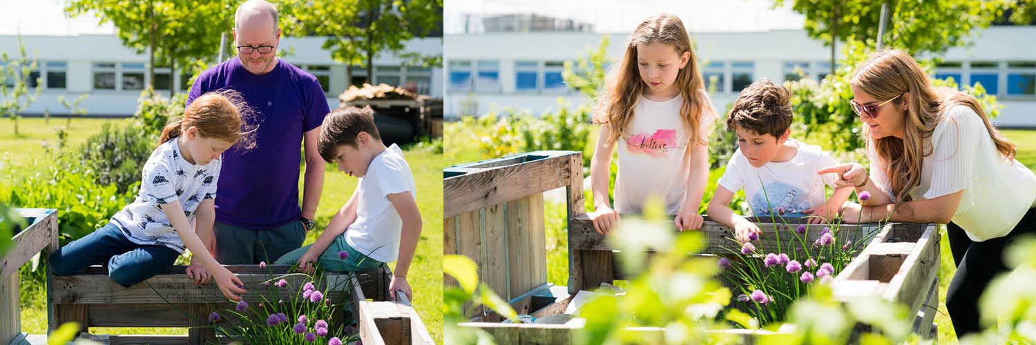 Teachers and young children in a community garden