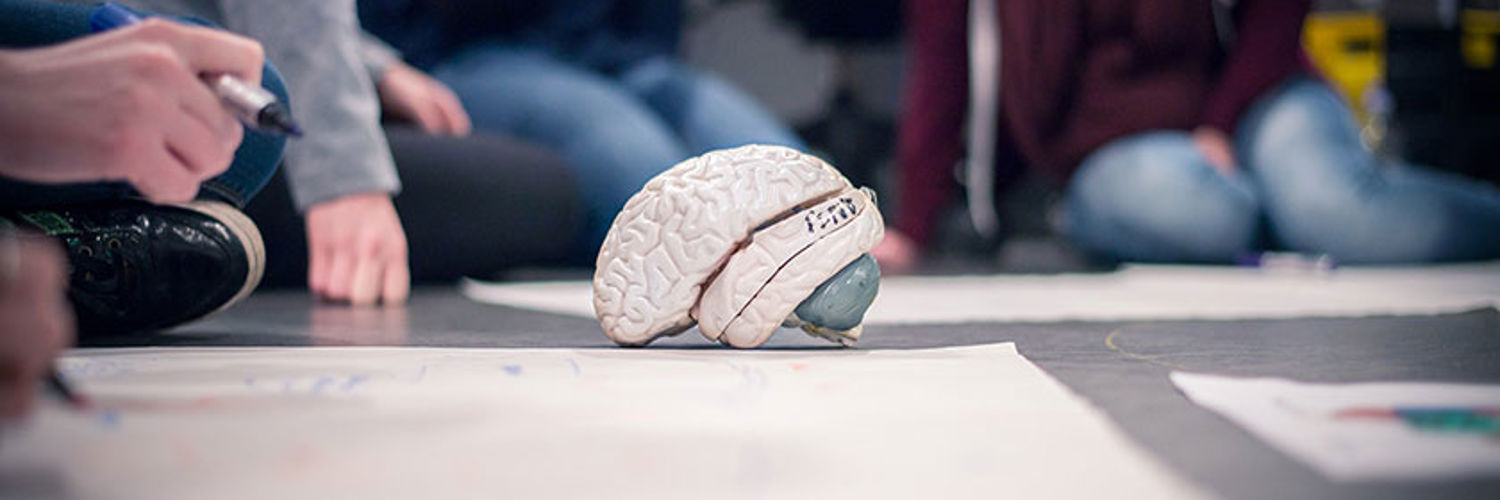 QMU students sitting on the floor looking at a model brain and doing a group project