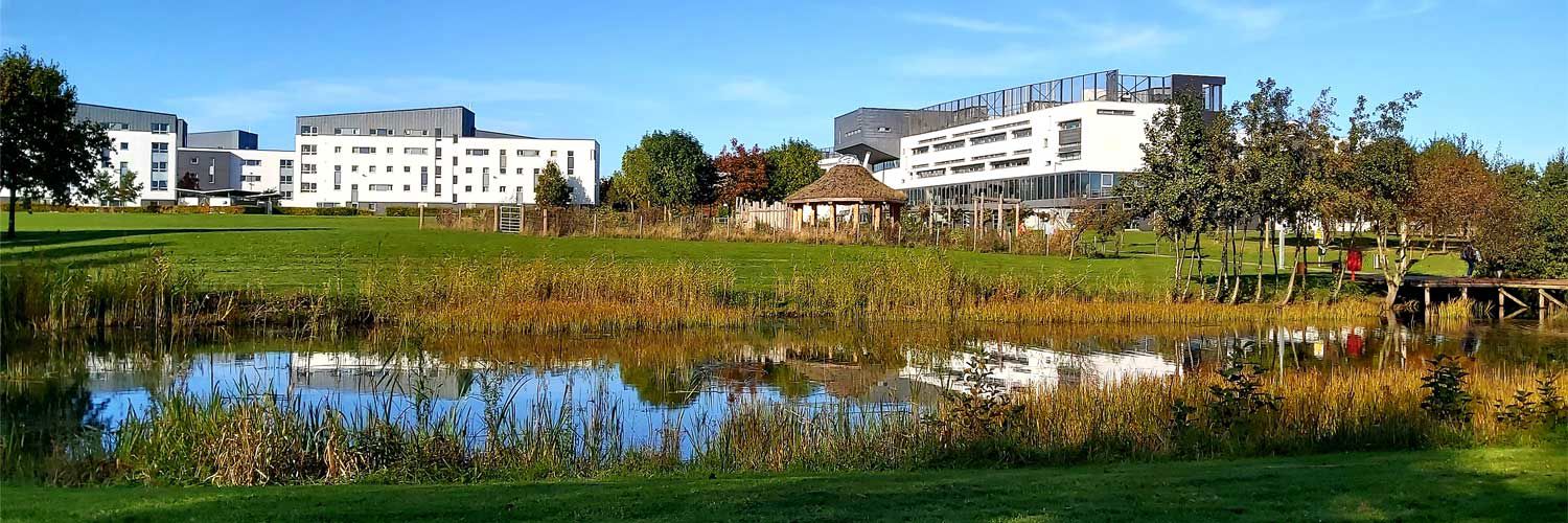 The SUDS pond on the QMU campus