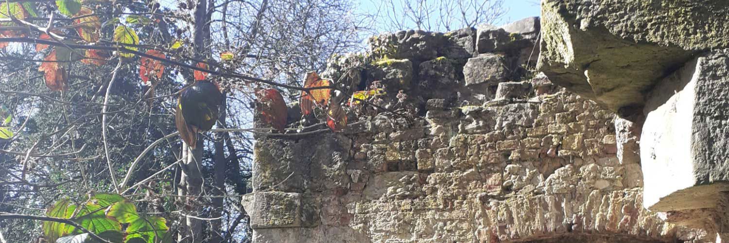 Ruins on the Newhailes route