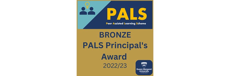 PALS Bronze E Badge