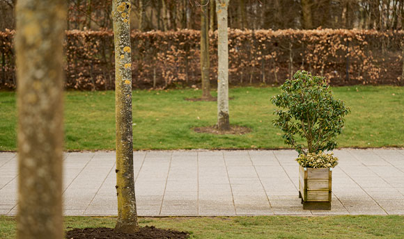 The walkway from the East entrance of QMU campus; a paved walkway with a small planter feature