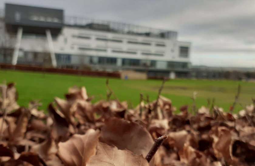 Autumn leaves on the ground at Queen Margaret University, Edinburgh