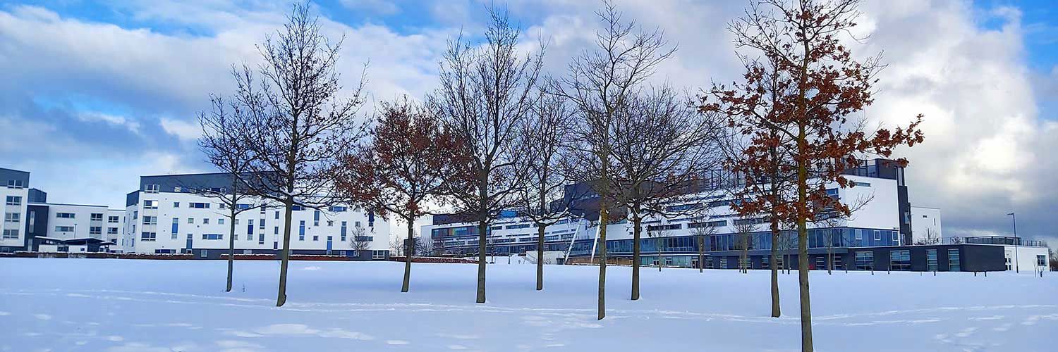 QMU campus in snow