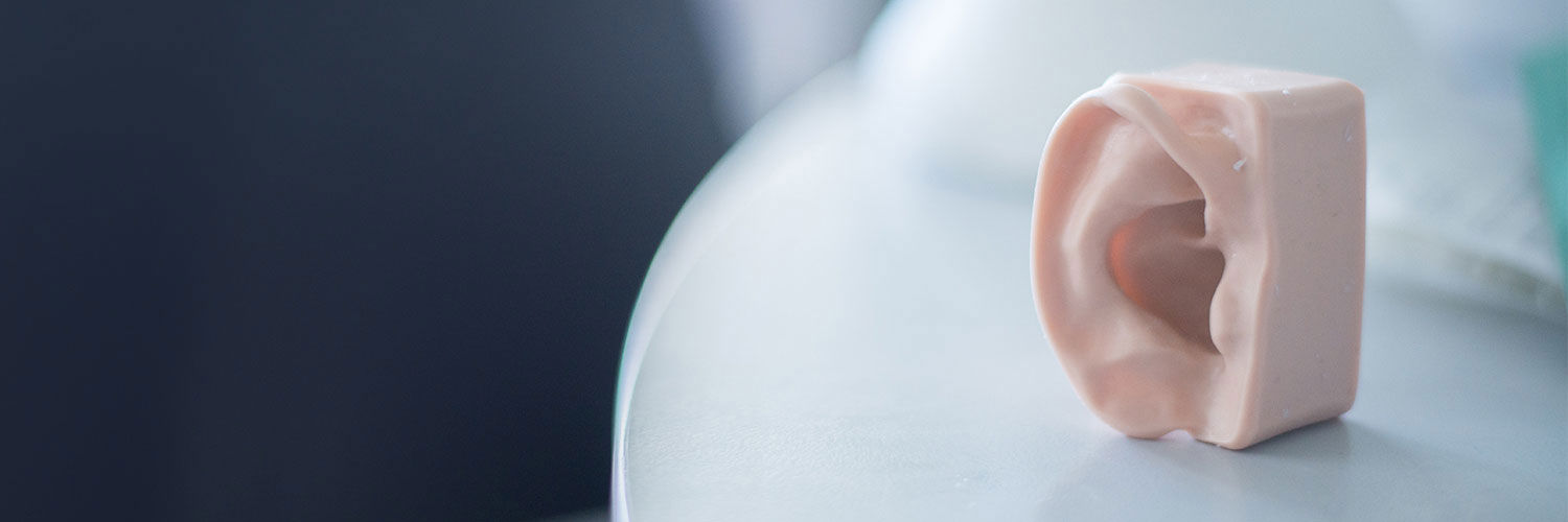 A plastic educational model of an ear