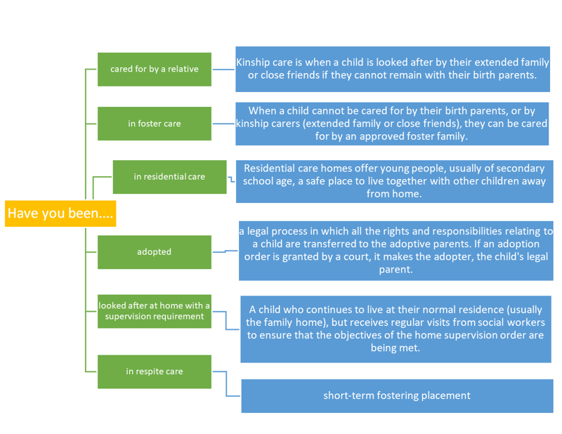 Care Leavers Graphic