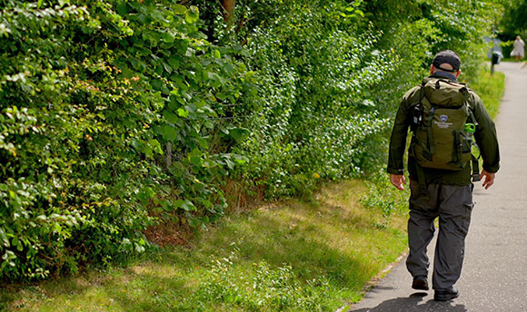 Person walking beside the Outdoor Hub Hedgerow at QMU