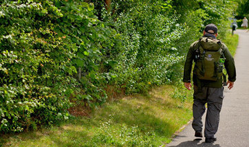 Person walking beside the Outdoor Hub Hedgerow at QMU