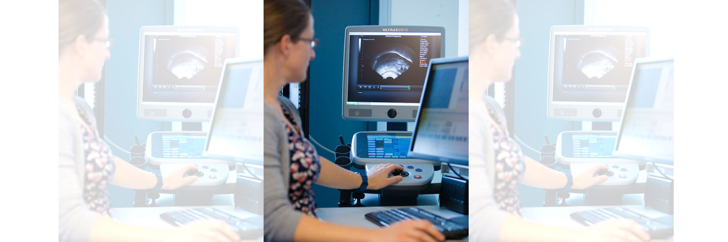 academic sits in front of a computer screen looking at the ultrasound visual of tongue movements