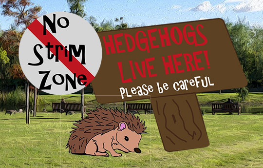 No strim zone hedgehog warning poster